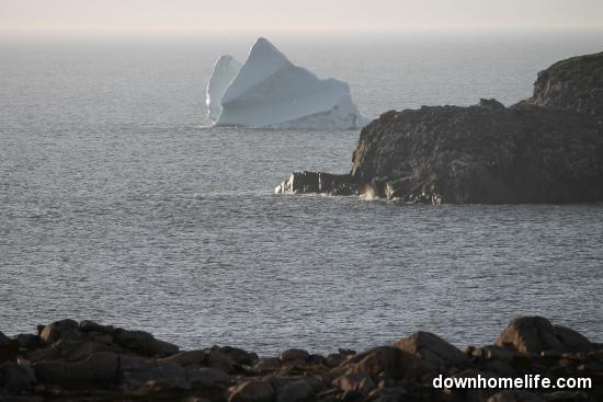 Main Gallery Display