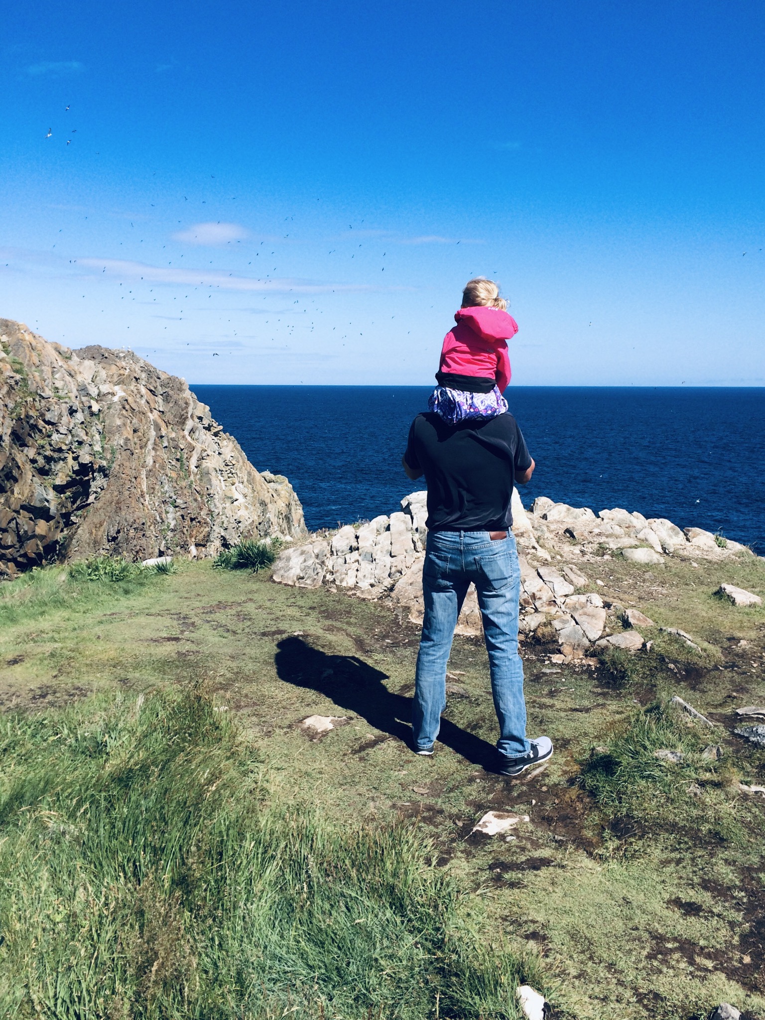 Main Gallery Display