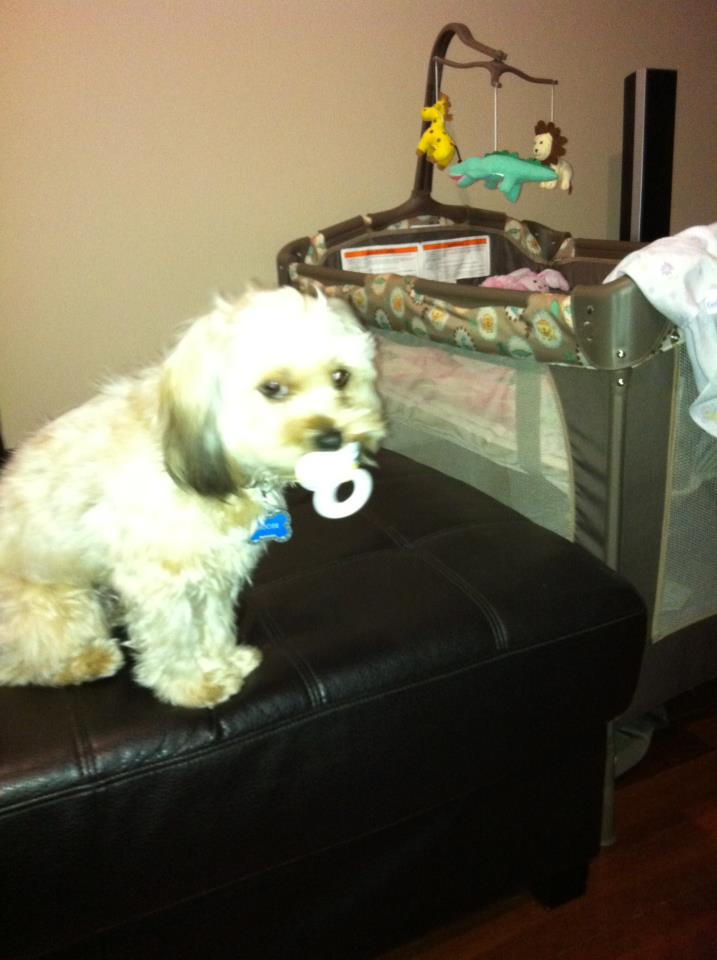 Main Gallery Display