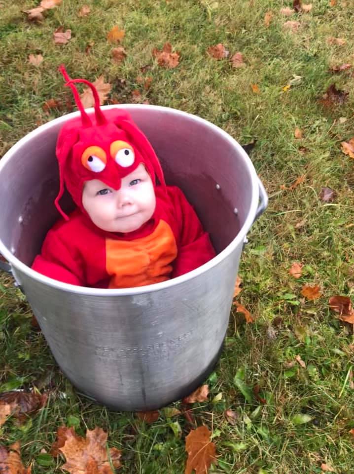 Main Gallery Display