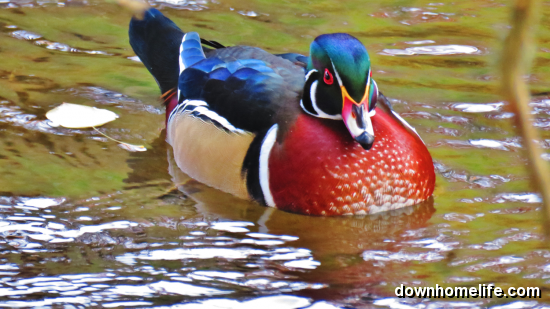Main Gallery Display