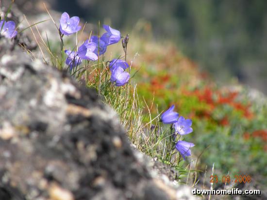 Main Gallery Display
