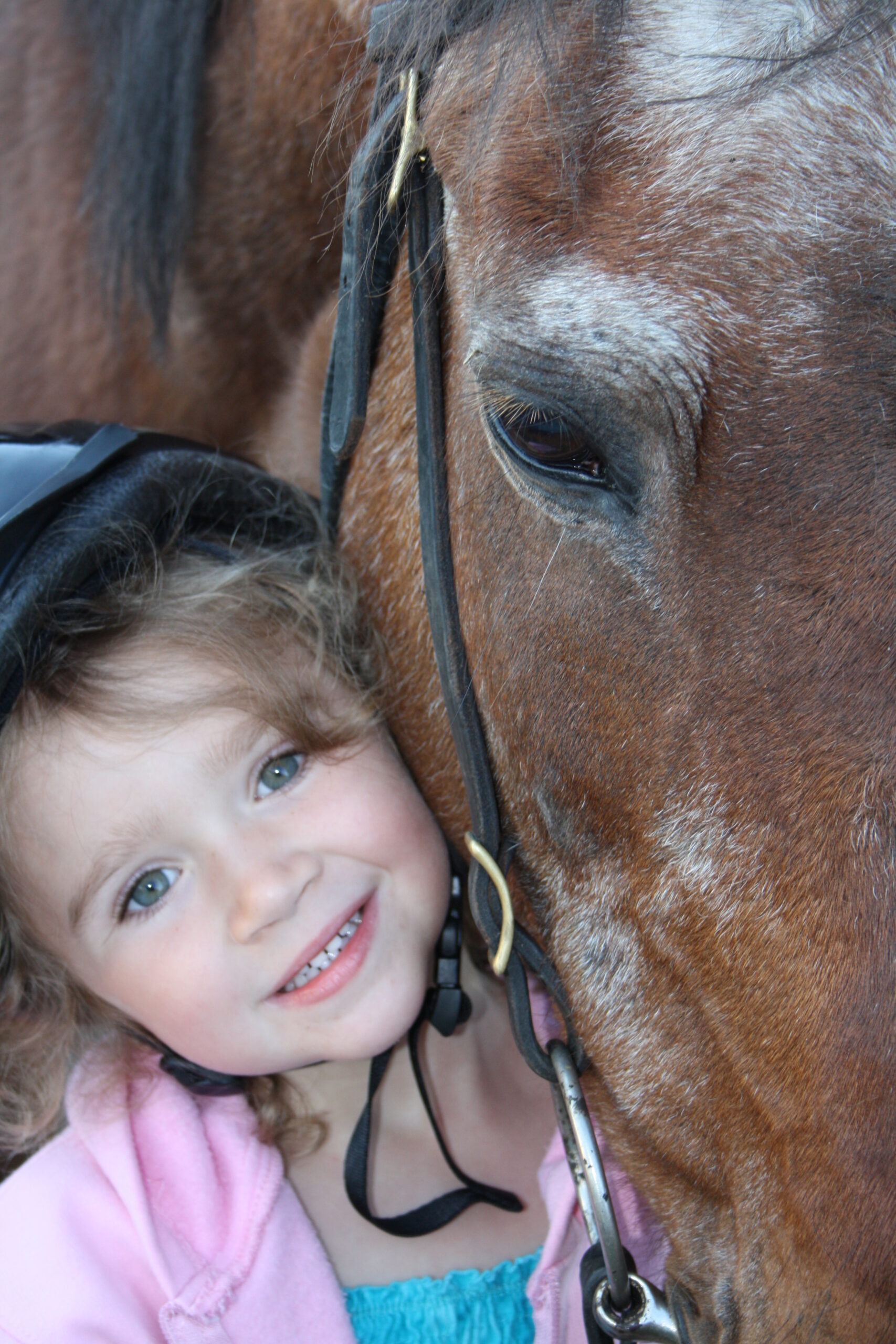 Main Gallery Display
