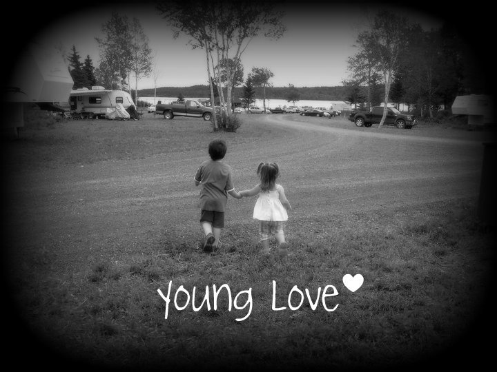 Main Gallery Display