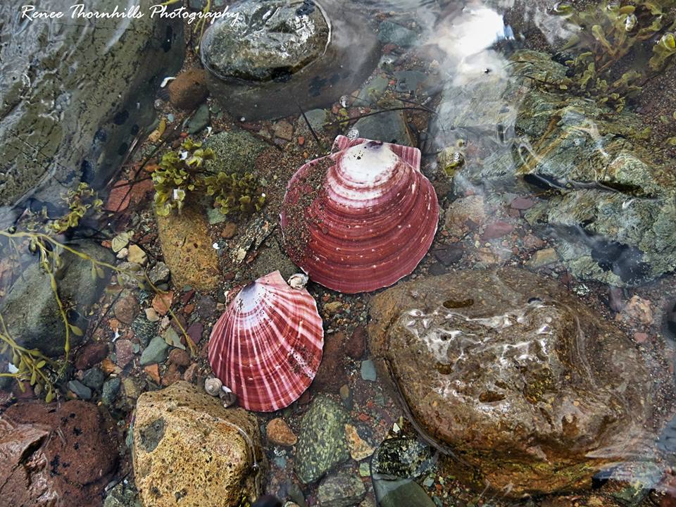 Main Gallery Display