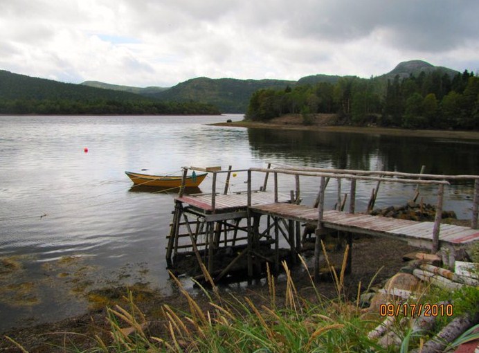 Main Gallery Display