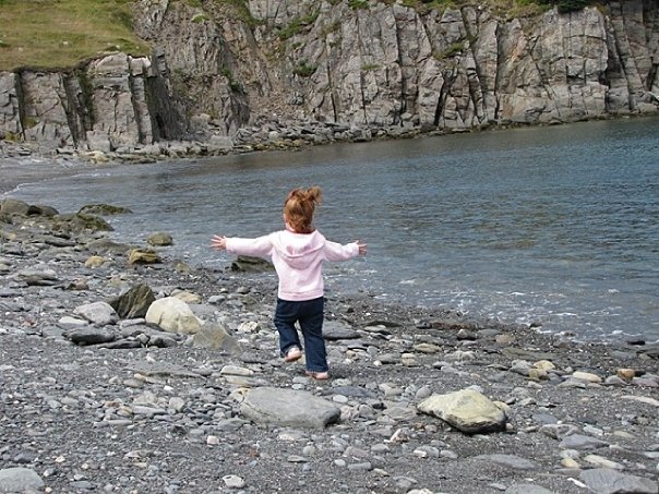 Main Gallery Display