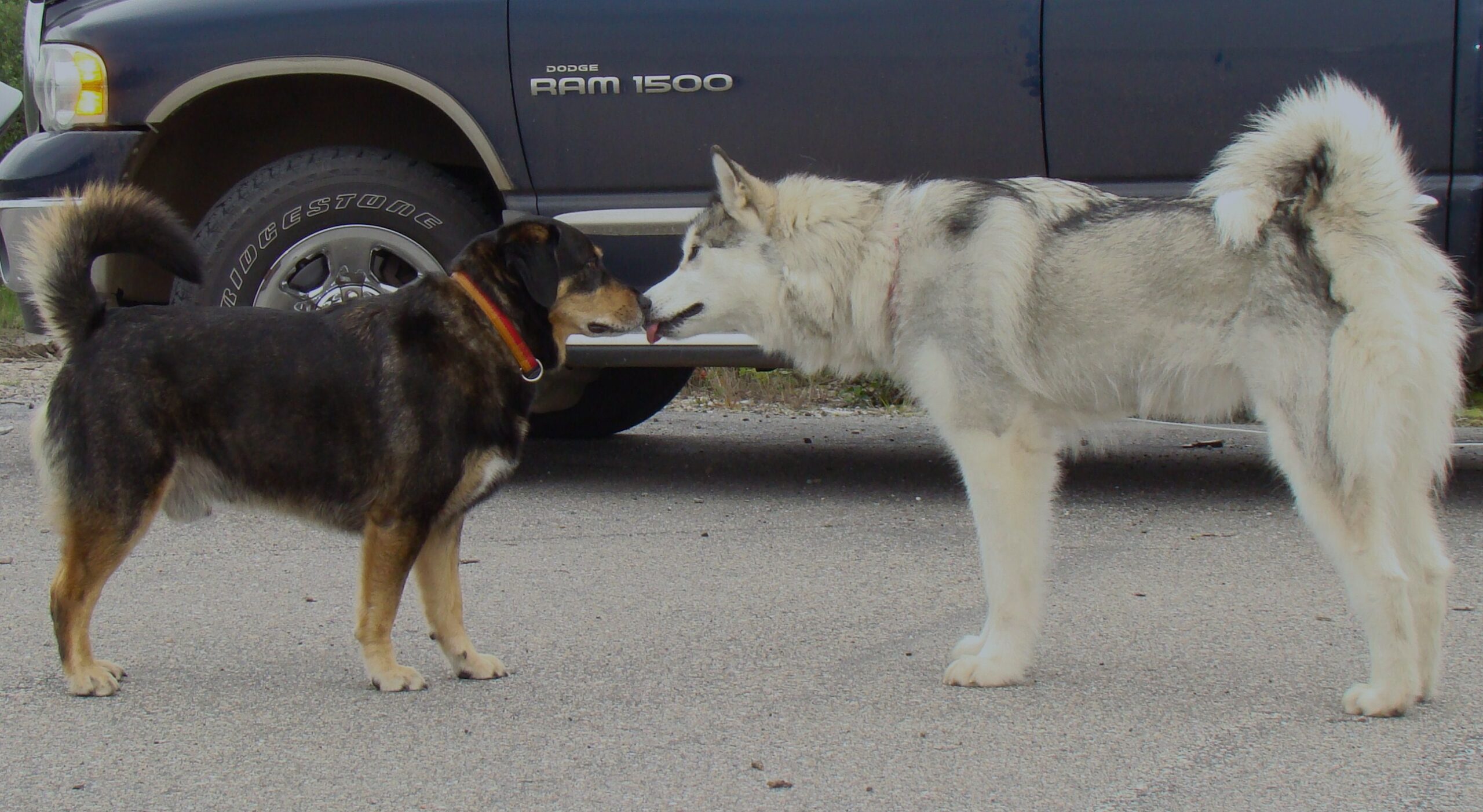 Main Gallery Display