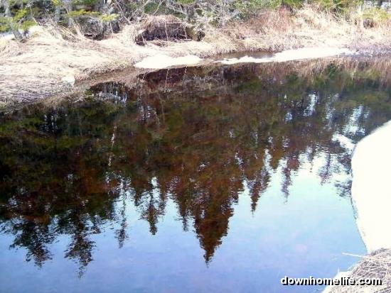 Main Gallery Display