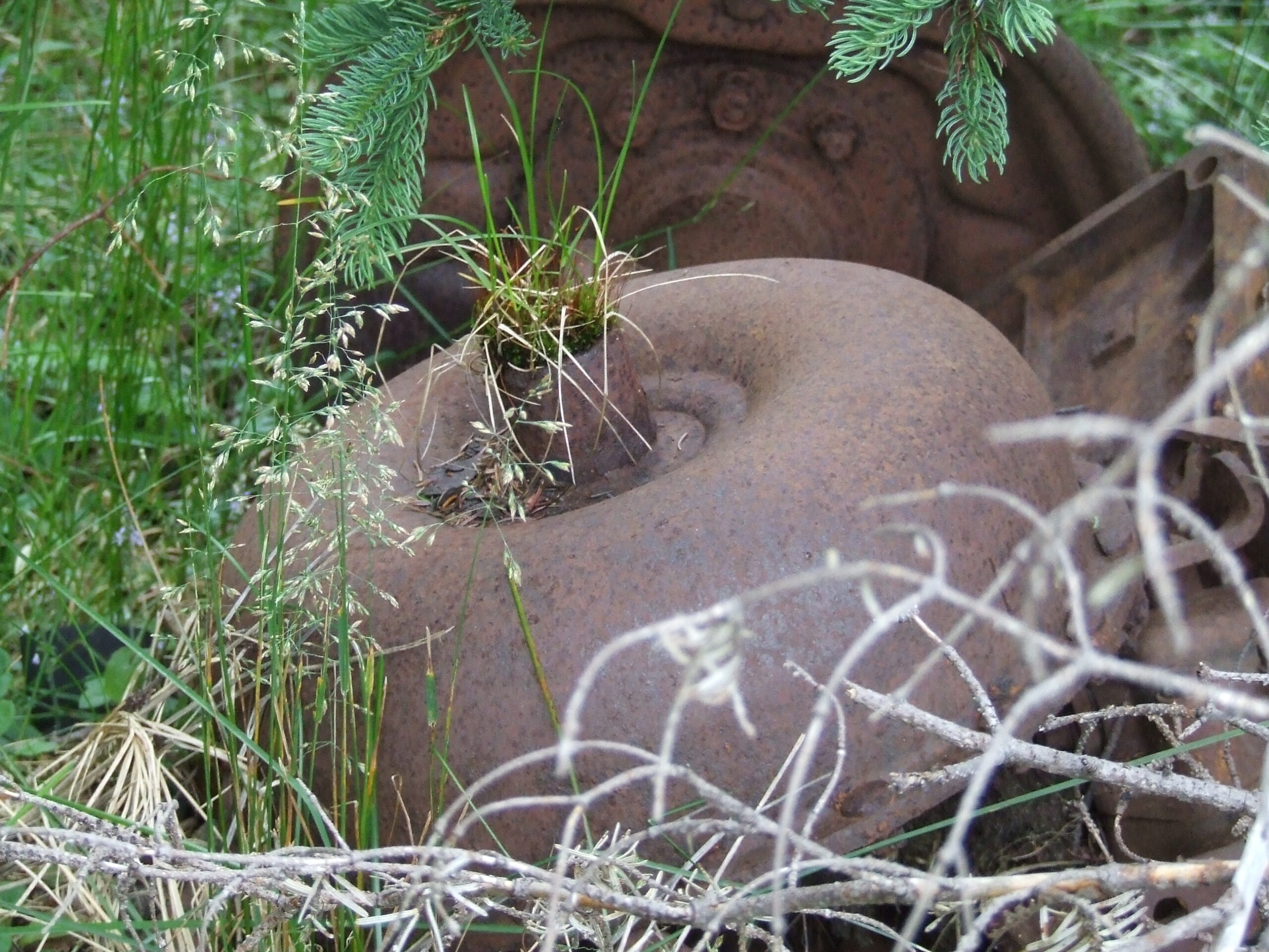 Main Gallery Display