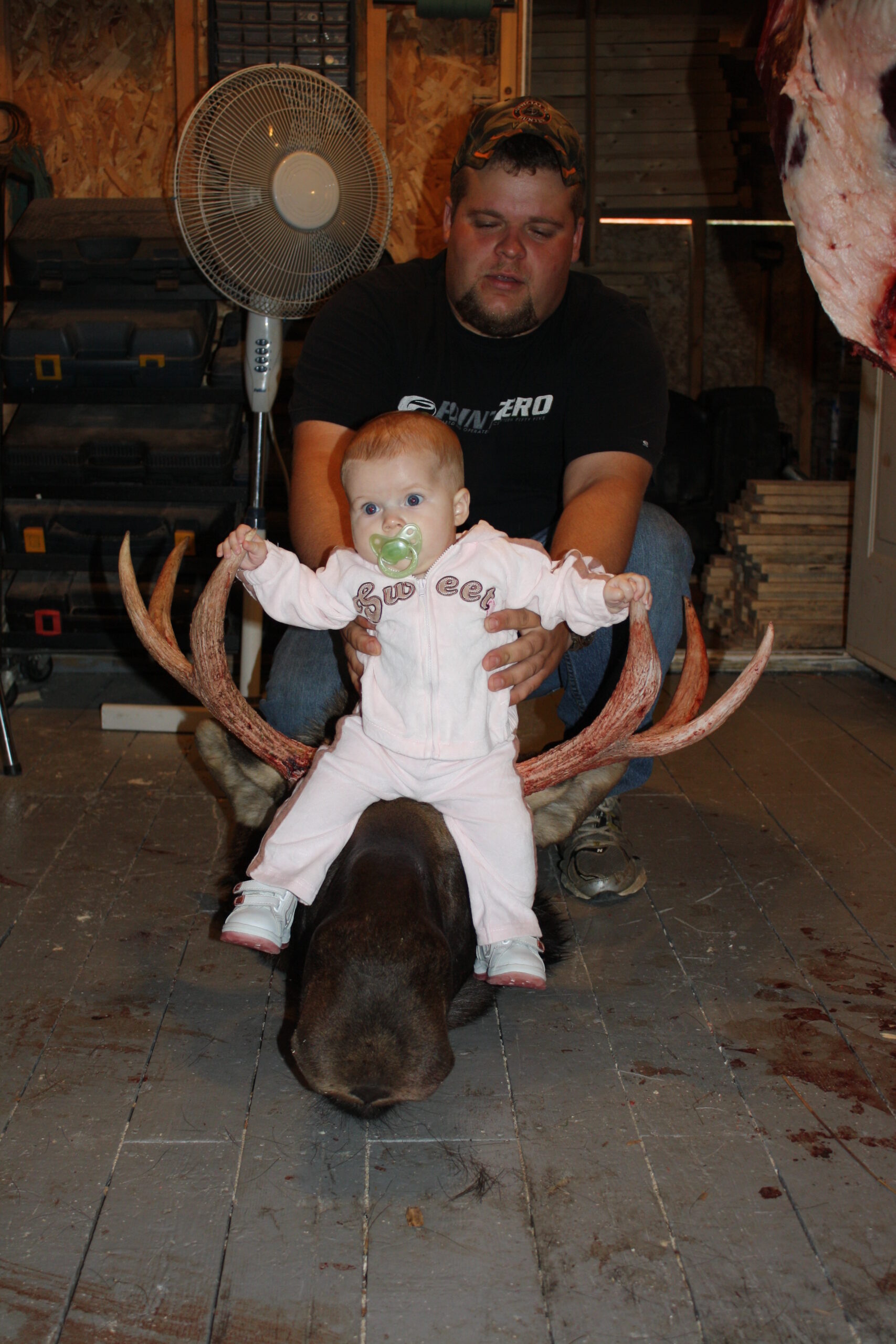 Main Gallery Display