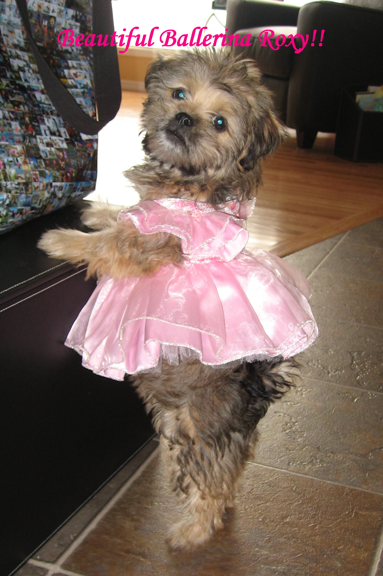 Main Gallery Display