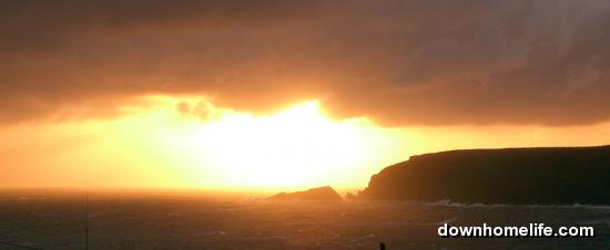 Main Gallery Display