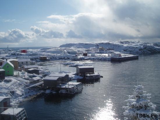 Main Gallery Display