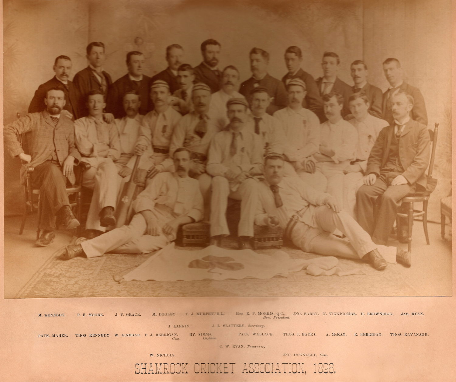 Main Gallery Display