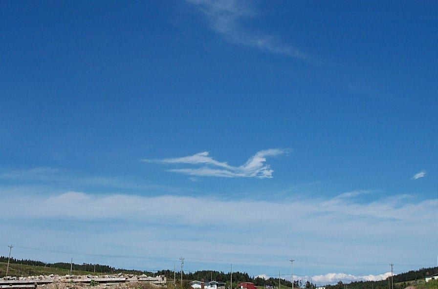 Main Gallery Display