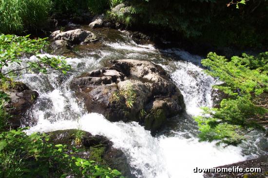 Main Gallery Display
