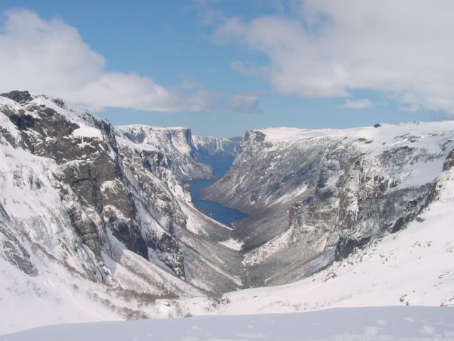 Main Gallery Display