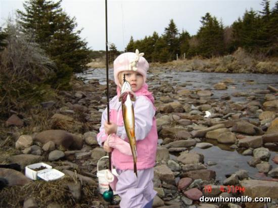 Main Gallery Display