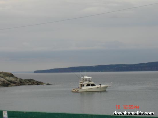 Main Gallery Display