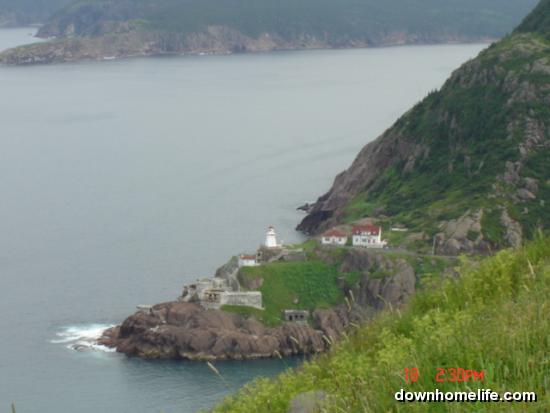 Main Gallery Display