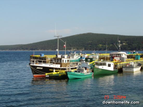 Main Gallery Display
