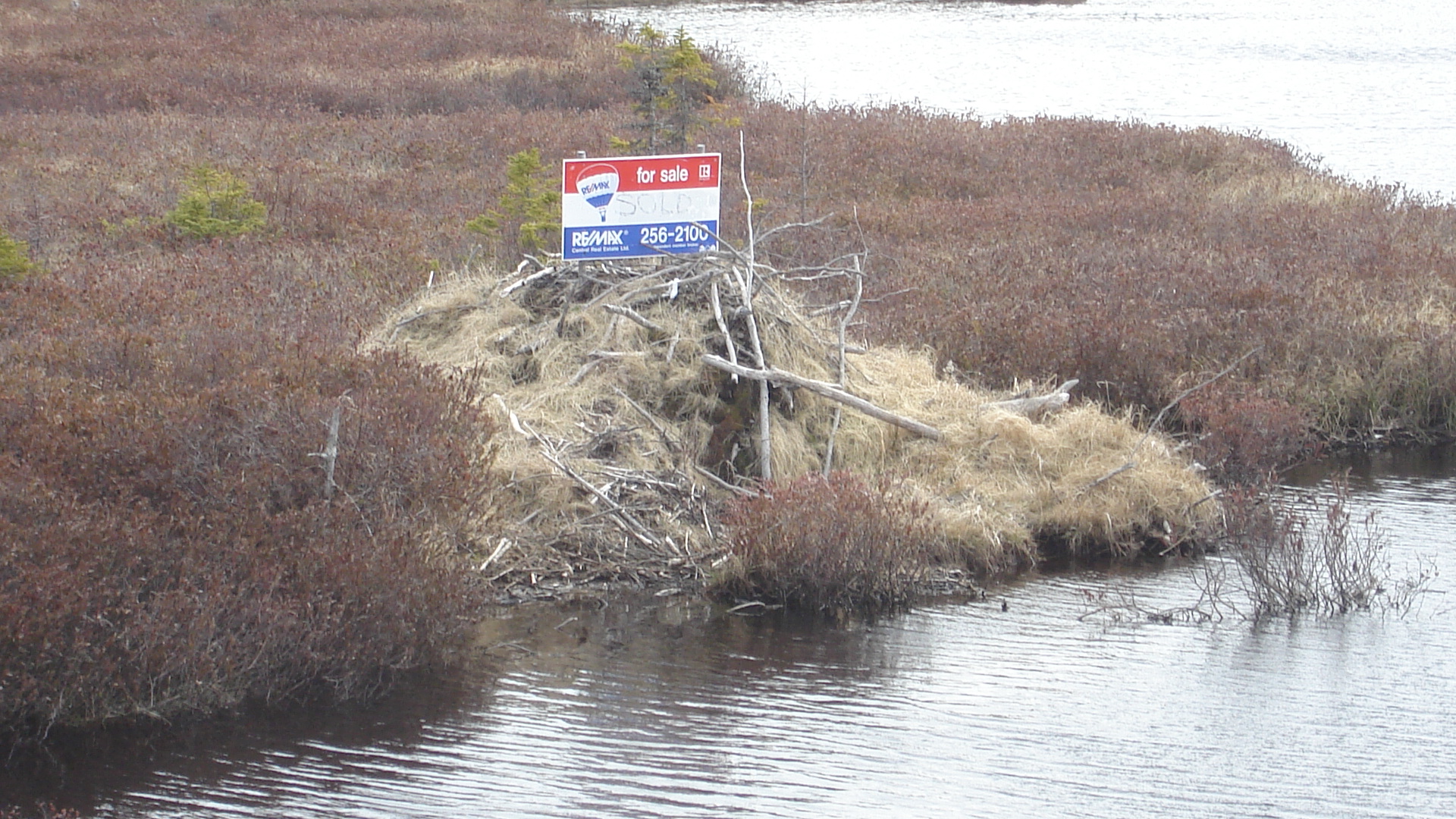 Main Gallery Display