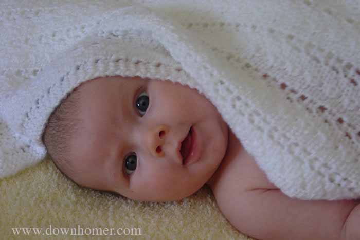 Main Gallery Display