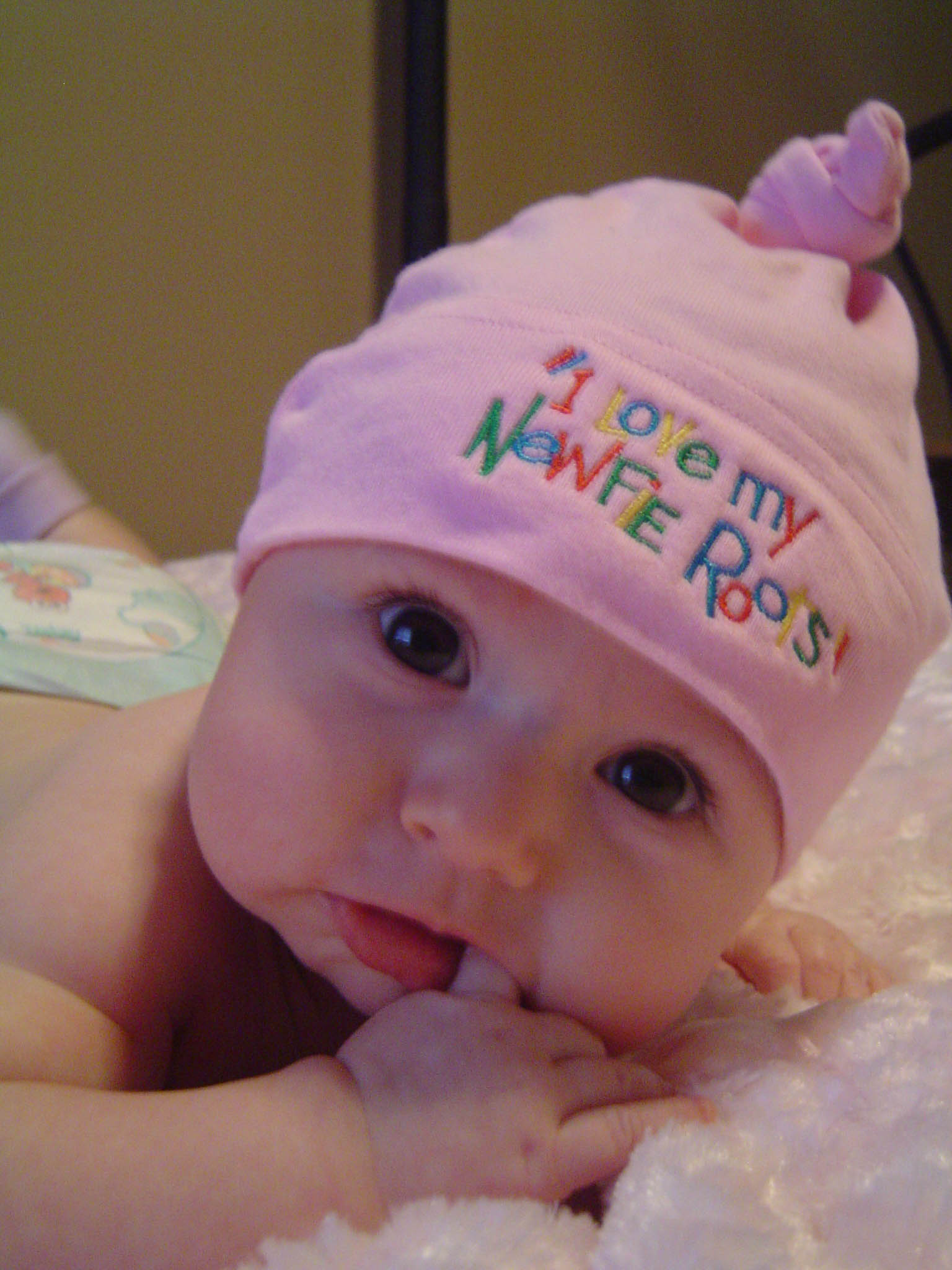 Main Gallery Display