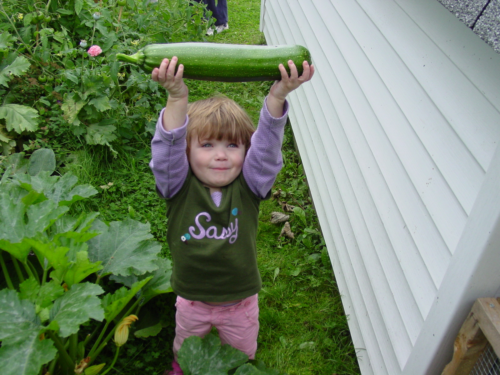 Main Gallery Display