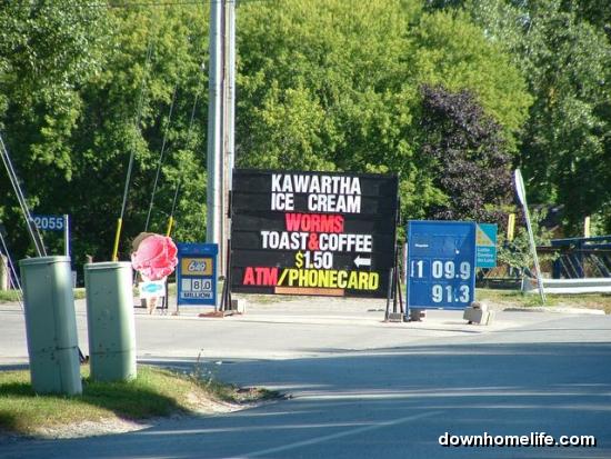 Main Gallery Display