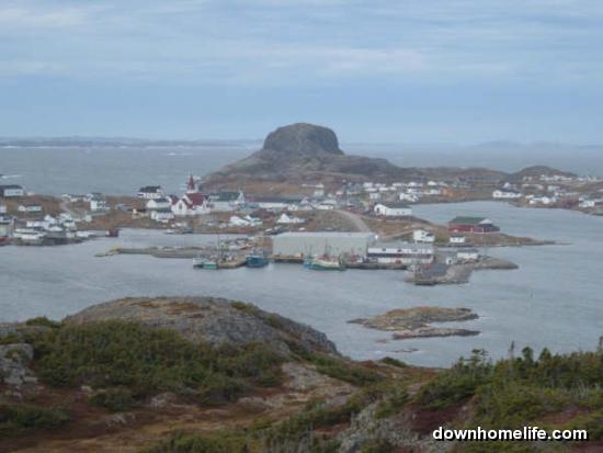 Main Gallery Display