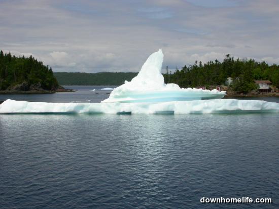 Main Gallery Display