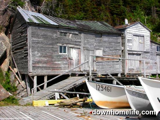 Main Gallery Display