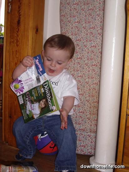Main Gallery Display