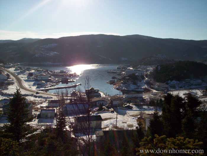 FLEUR DE LYS SF visual data 4