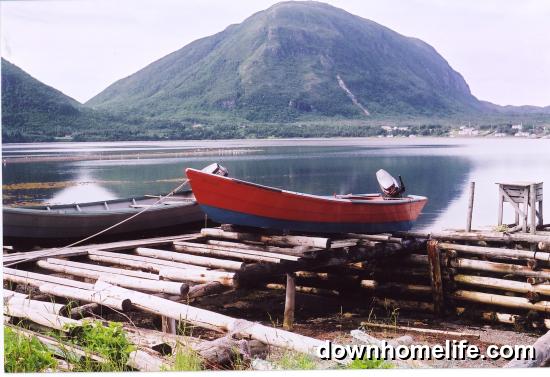 Main Gallery Display