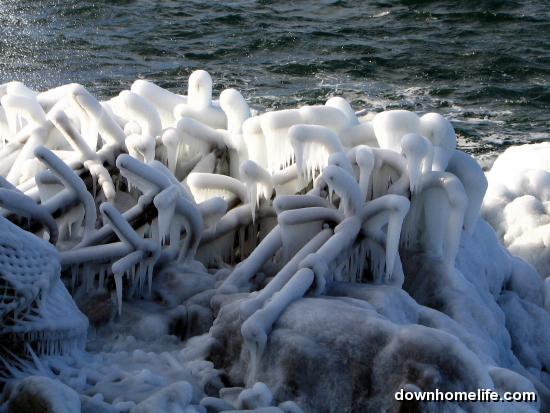 Main Gallery Display