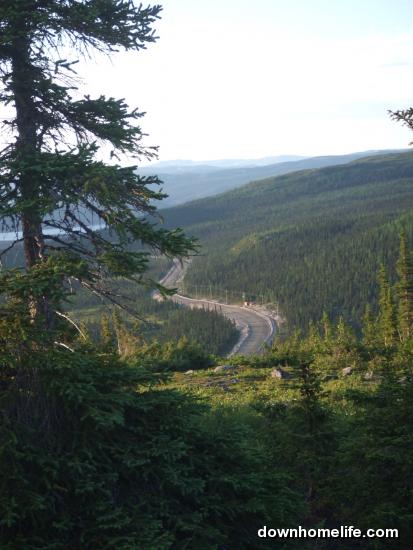 Main Gallery Display