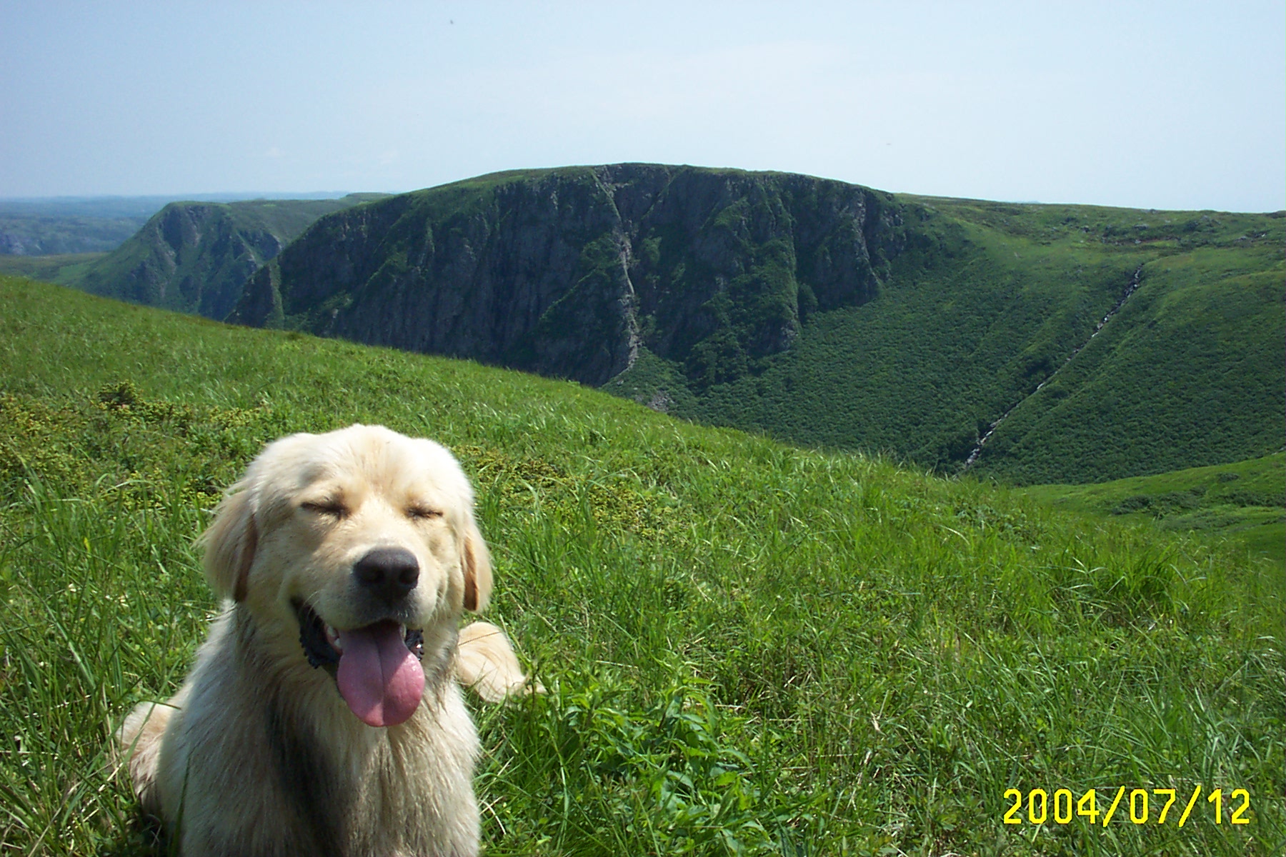 Main Gallery Display