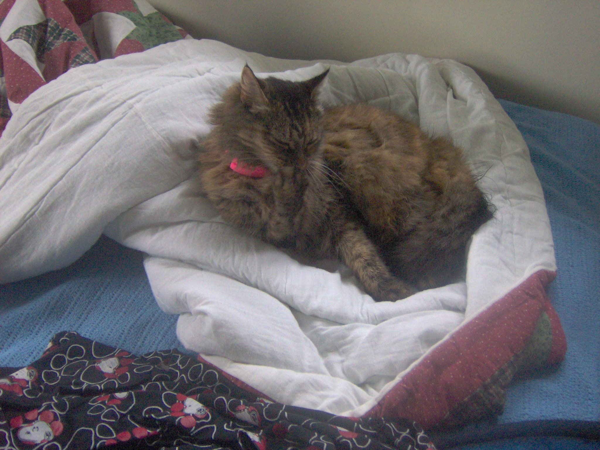 Main Gallery Display