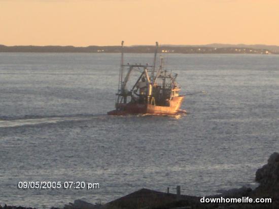 Main Gallery Display