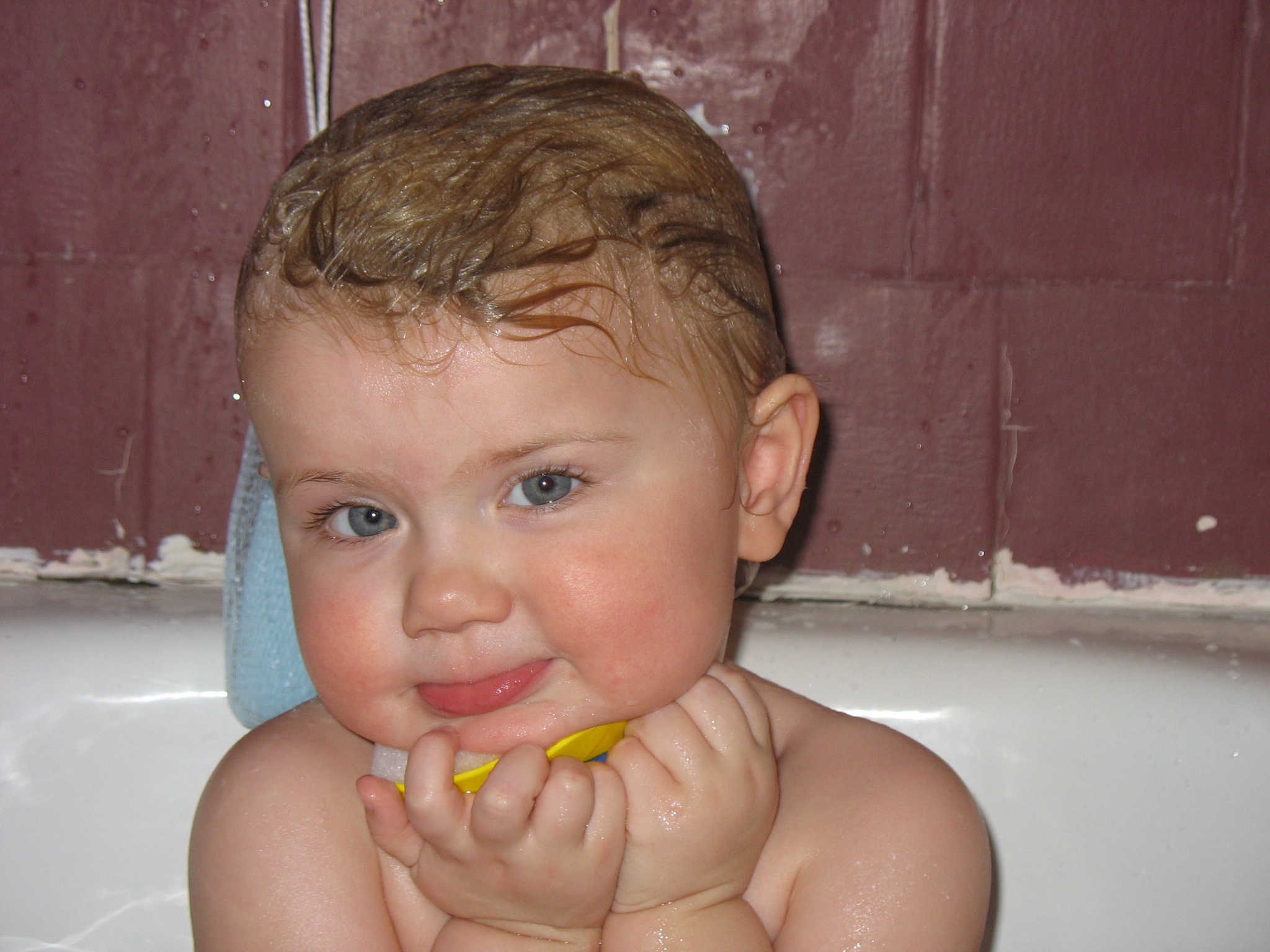 Main Gallery Display