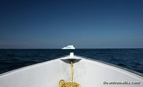 Main Gallery Display