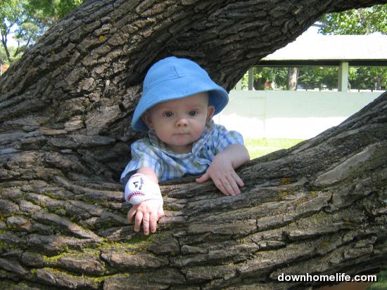 Main Gallery Display