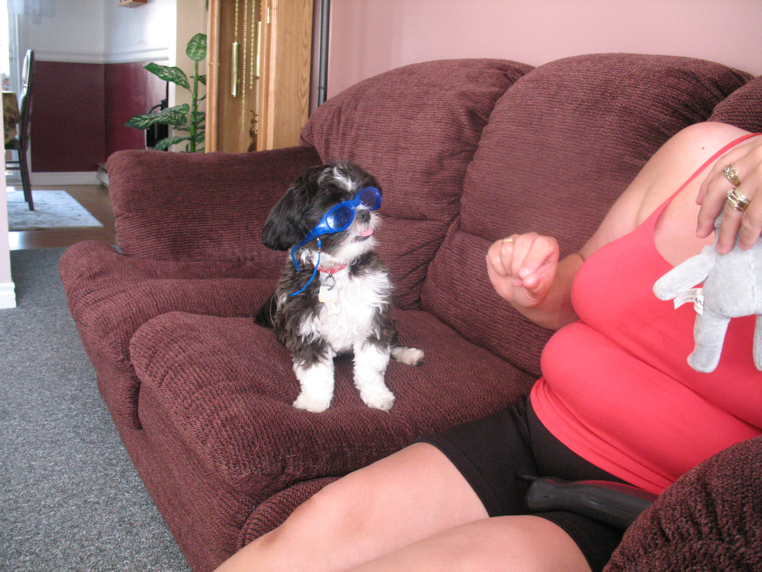 Main Gallery Display