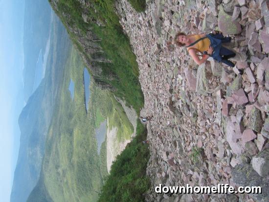 Main Gallery Display