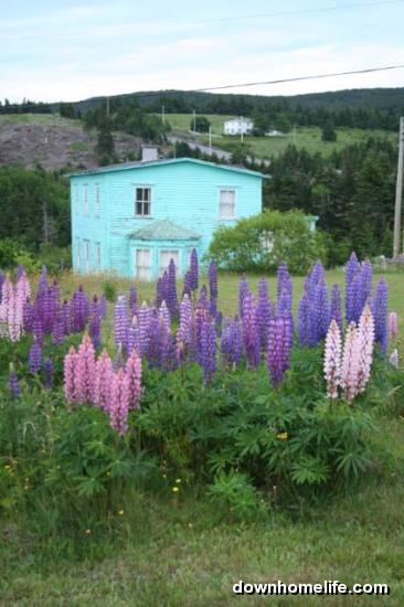 Main Gallery Display