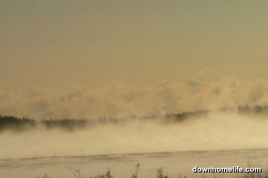 Main Gallery Display