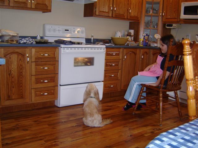 Main Gallery Display